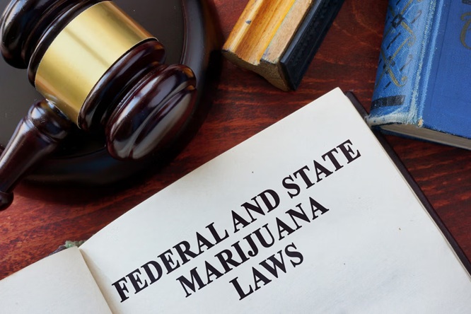 Cannabis Laws in New Jersey: What You Can (and Can’t) Do